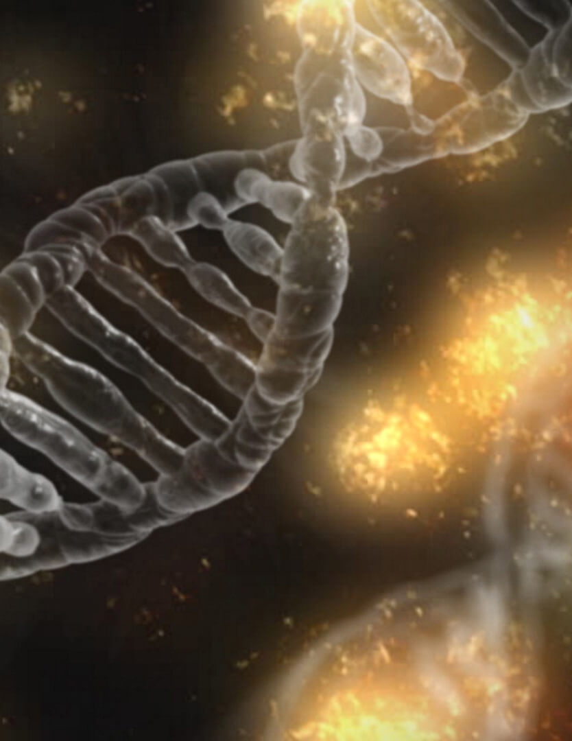 Diagnosing Skin Cancer Using Machine Learning